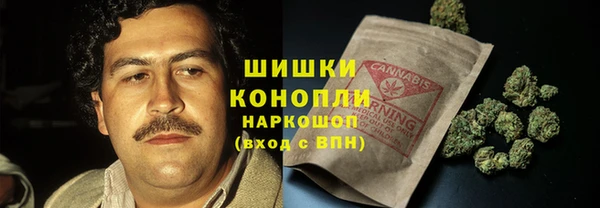 мет Бородино