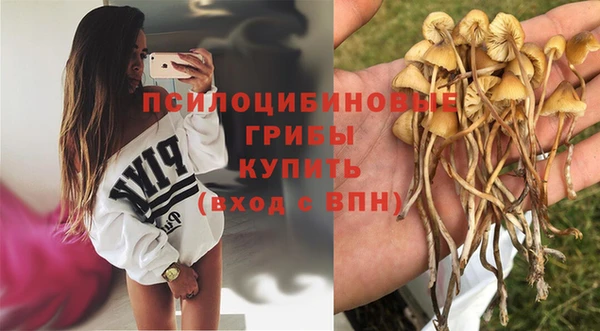 соль ск Грязи